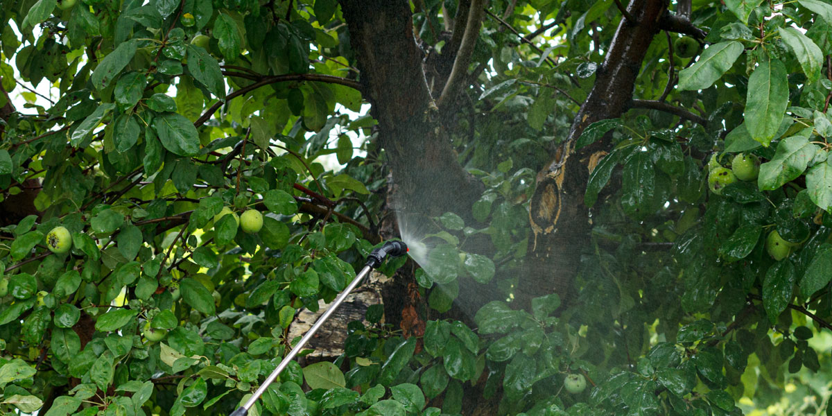 Top 10 Integrated Pest Management Practices in India