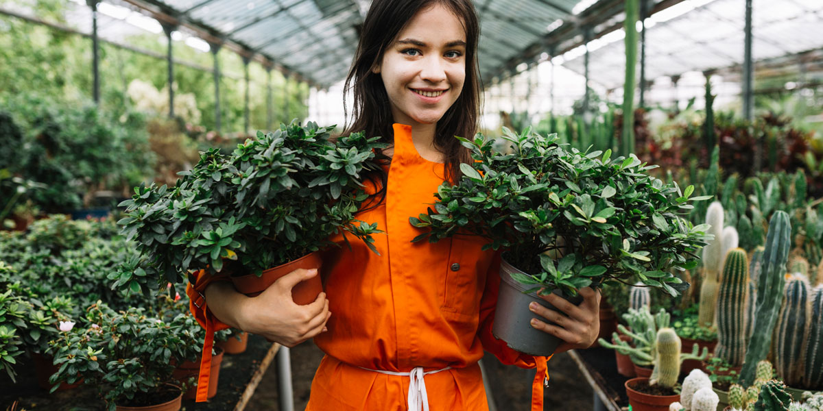 Top 10 Nursery Management and Propagation Best Practices