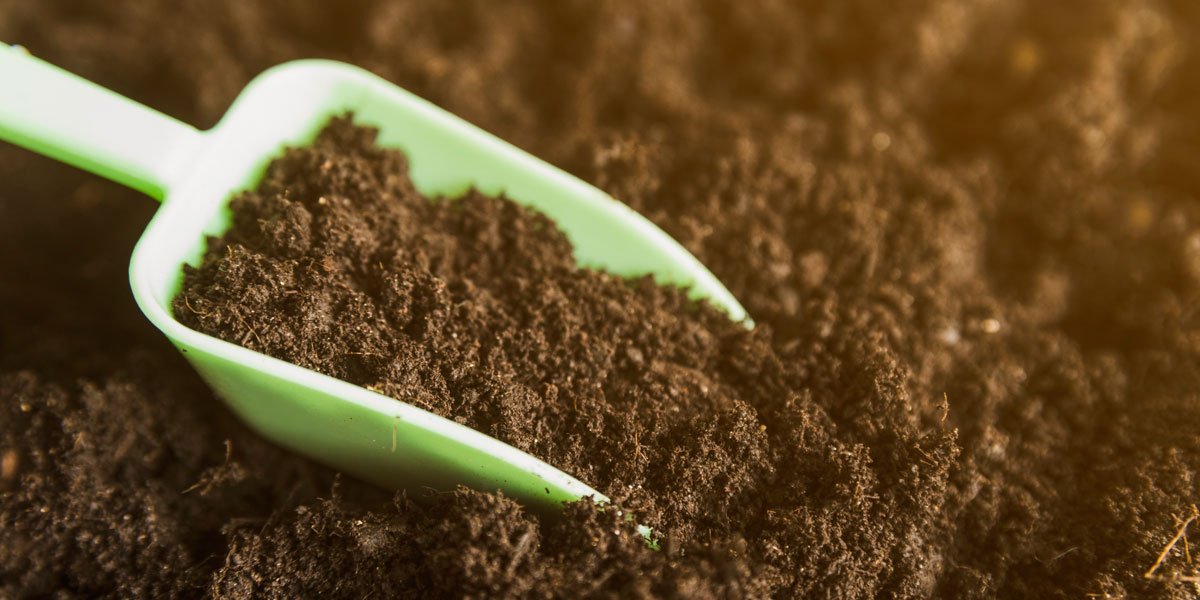 Top 10 Soil Health Practices for Indian Farms