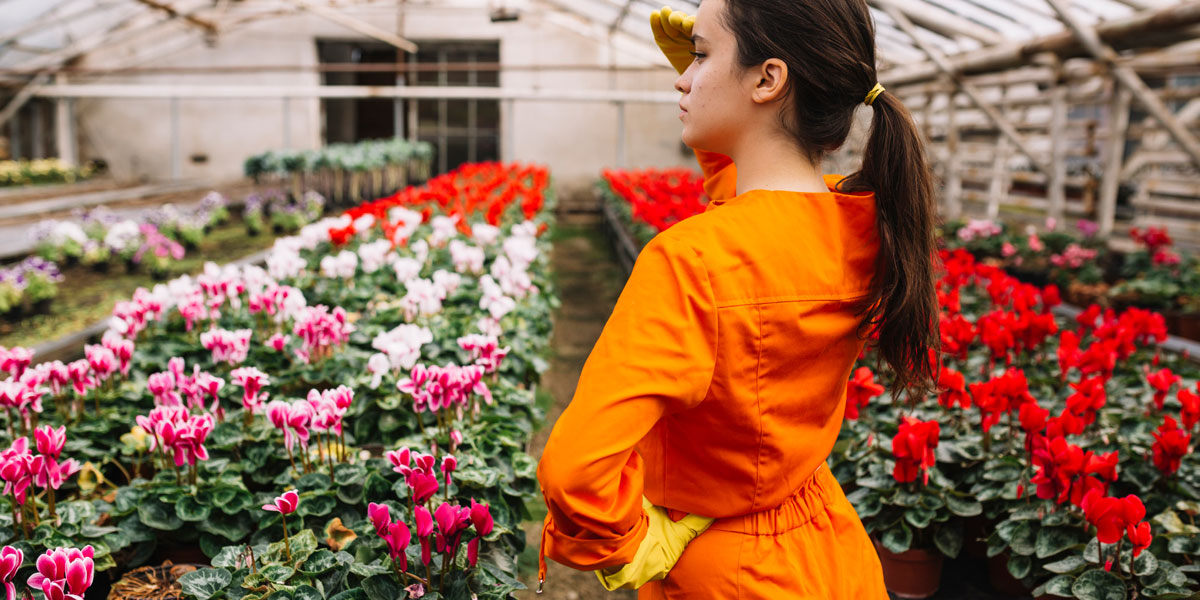 Top 10 Soil Health and Nutrient Management Protocols for Horticulture