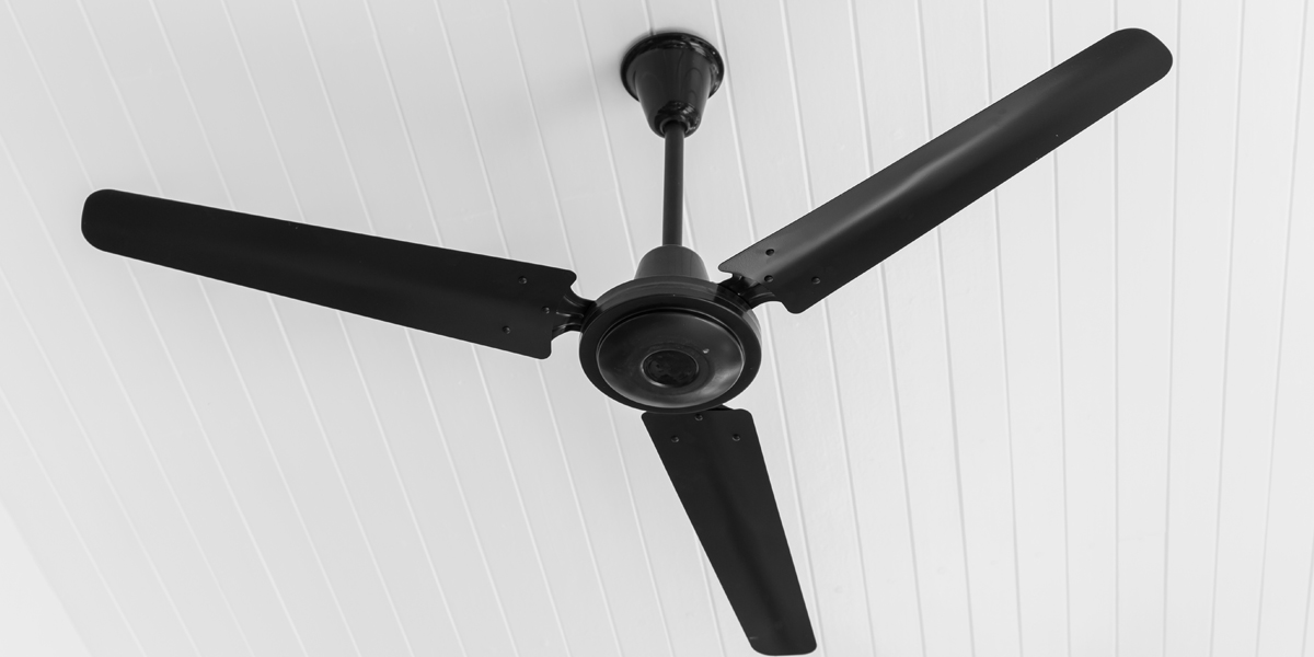 Top 10 Ceiling Fan Brands in India