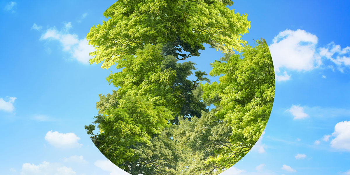 Top 10 Sustainability and Circular Processing Innovations